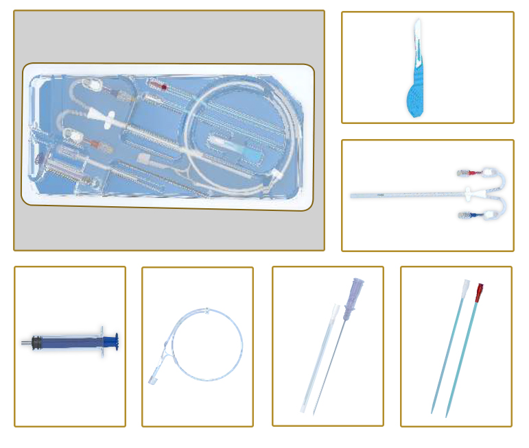 Hemodialysis